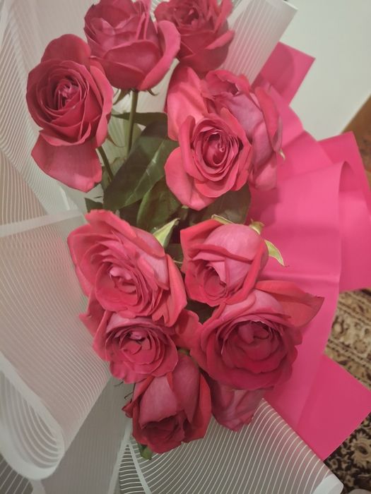 11 красно-белые розы