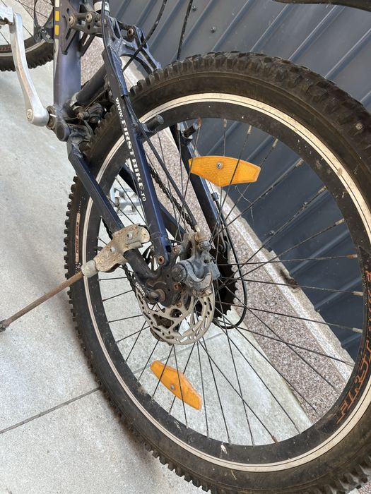 Vand bicicleta First Bike
