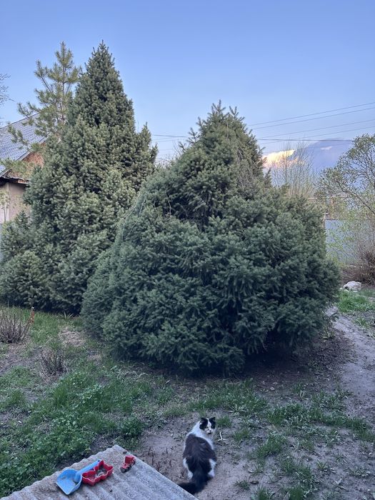 Продам частный дом