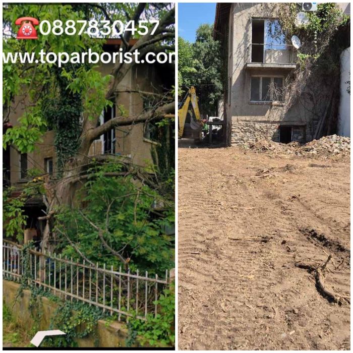 Почистване на къщи/терени и дворове