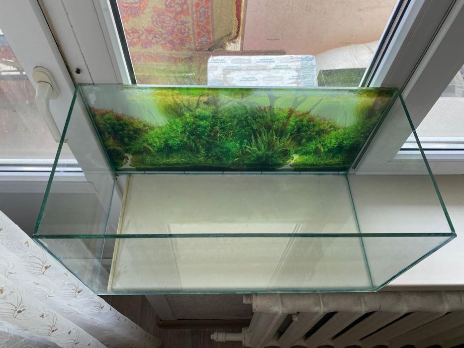 Аквриум 50литров