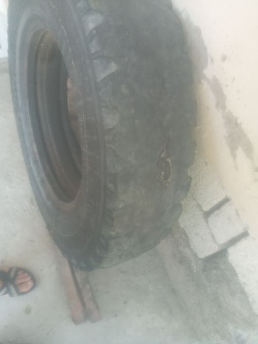 Gaz 53 uchun 260 240 balon bor