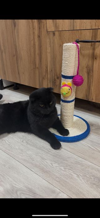 Продам когтеточку