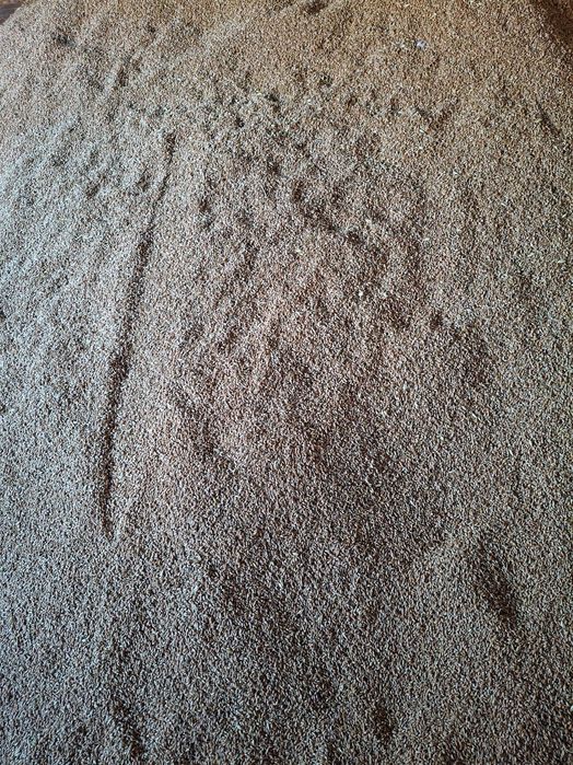 Grâu de vanzare 19 ron banicioru