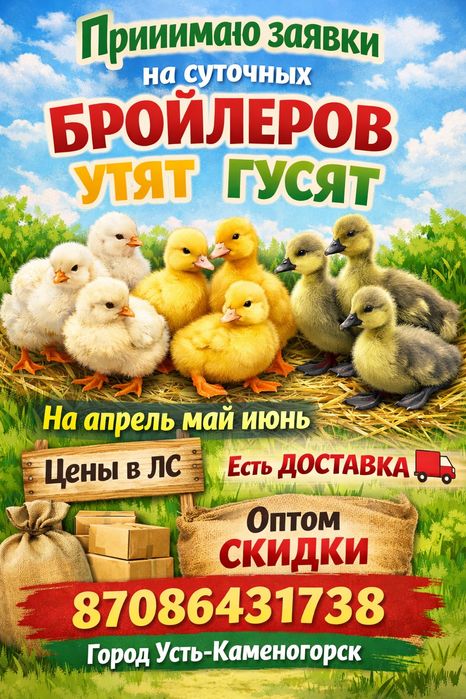 Цыплята утята гусята