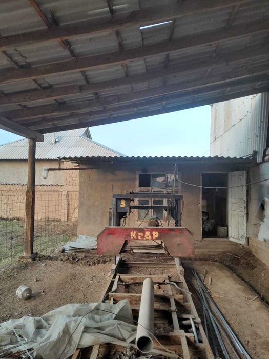 Жағдайы жақсы ара