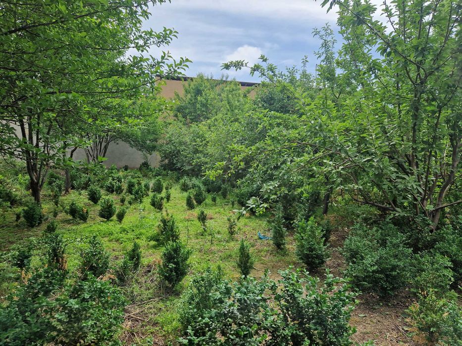 Юнусобод Хасанбой 6 соток ер, кадастр, времянка. Хасанбай, Юнусабад