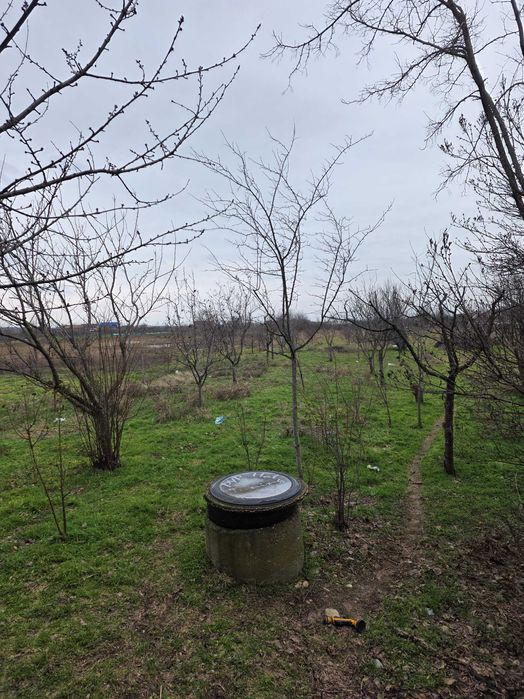 Casă la 3 km de Slatina, Proaspeti