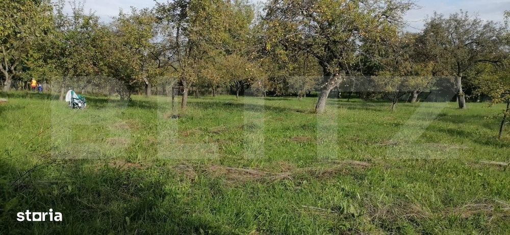 Teren intravilan, 1000 mp, Masca, comuna Iara