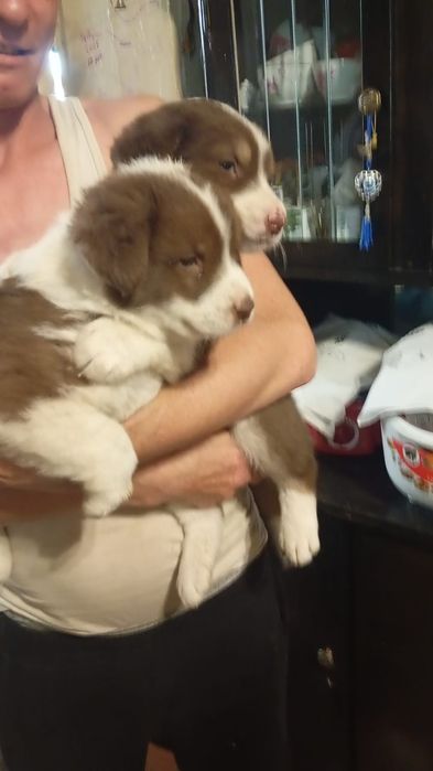 В самые добрые ручки