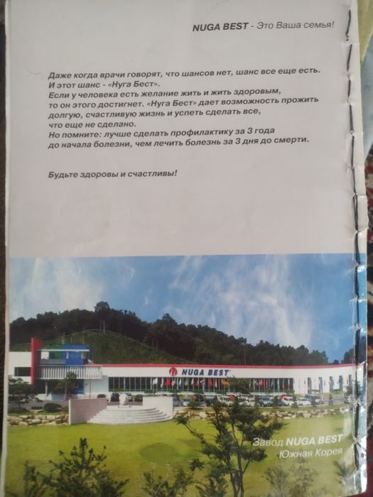 NUGA BEST licheniya kravati