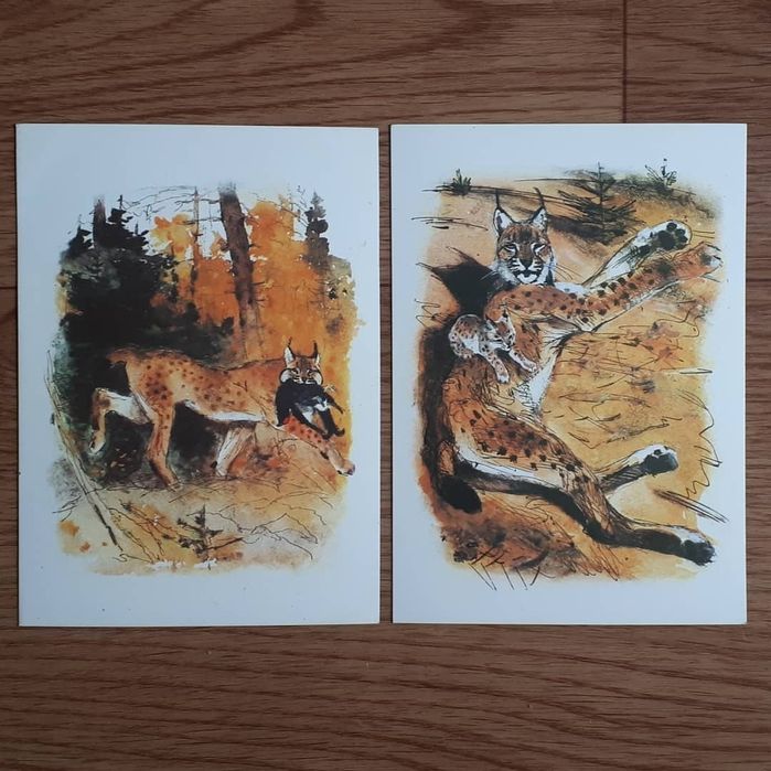 Открытки из наборов времен СССР