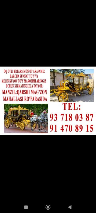 Tuy Marosimlar uchun ot arava