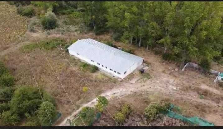 Продава се Парцел в Разград, Освобождение - 35046 кв.м за 10 €/кв.м - Снимка #6