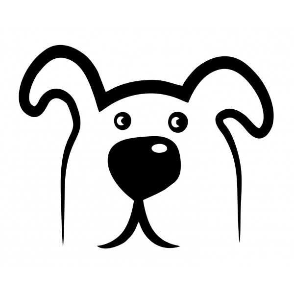 Стикери за кола от ПВЦ фолио