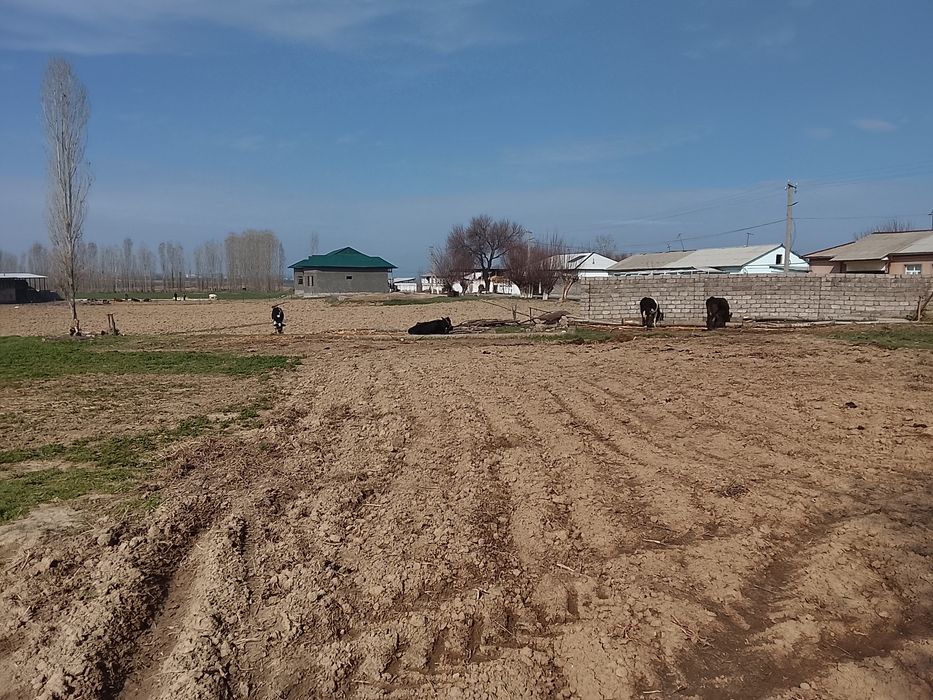 18 сотих йер учаскамиз сотувга чикти