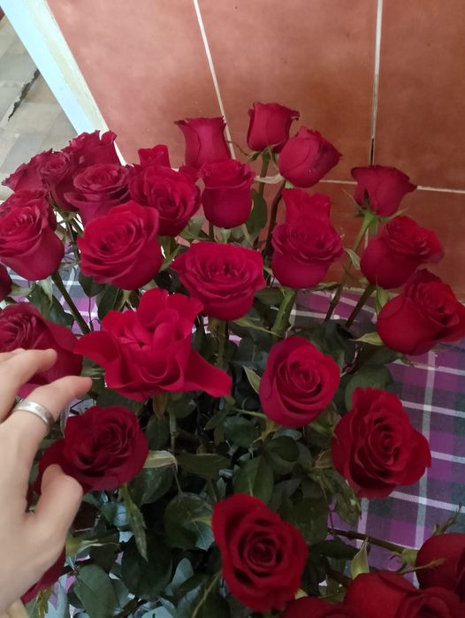 51 штук гүл тез арада сатылады 10000