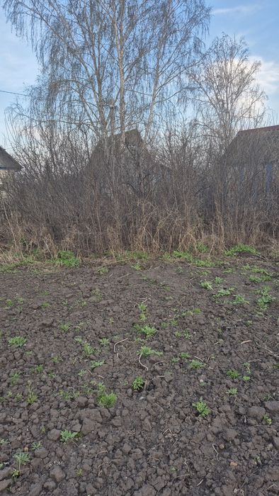 Продам дачу в с/о Ромашка