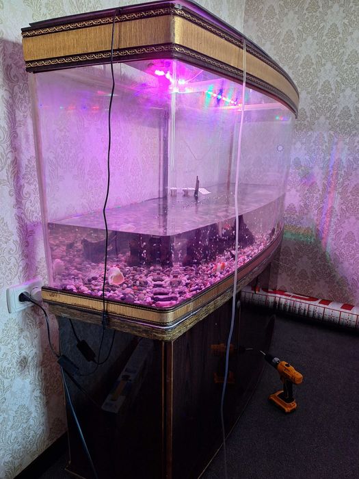 Завадской акриловый аквариум с тумбой +-400 литров