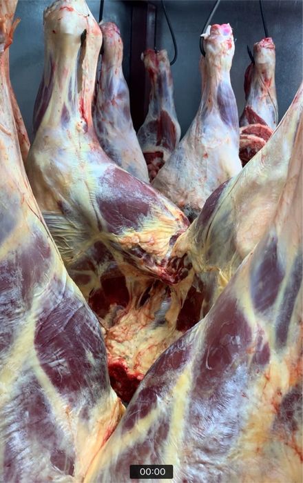 СОҒЫМ! Мясо оптом! Конина, говядина!