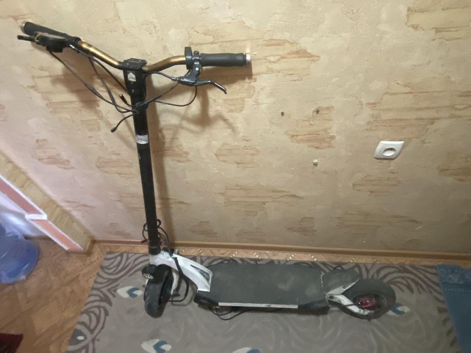 kaabo mantis 10 dual