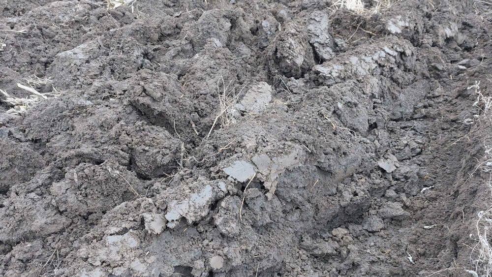 Plug Fenet 2 brazde reversibil mecanic