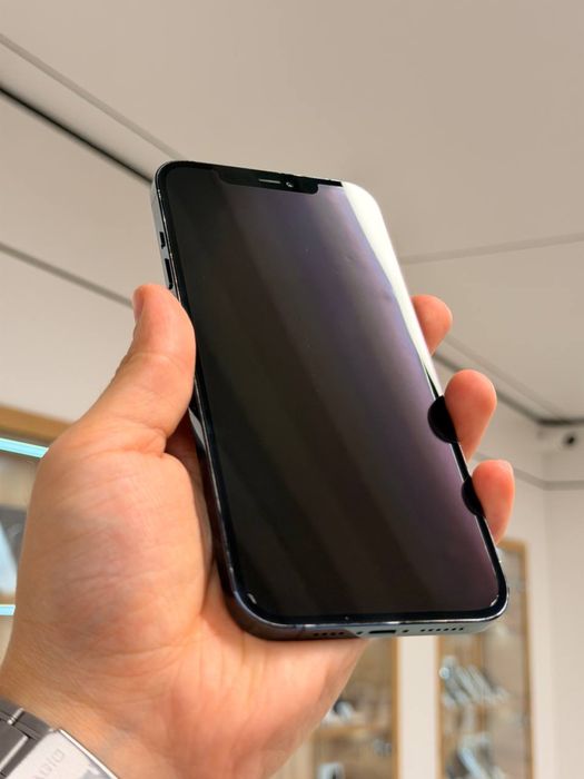 iPhone 12 Pro Max | 256 GB