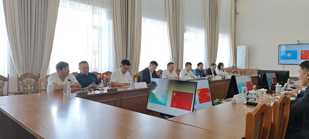 Переводчик китайского языка