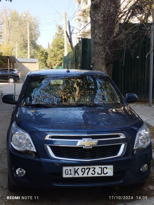 Cobalt 11800 $ taqalgai some kinda blue 2023 noyabr texpasport, 2024 k