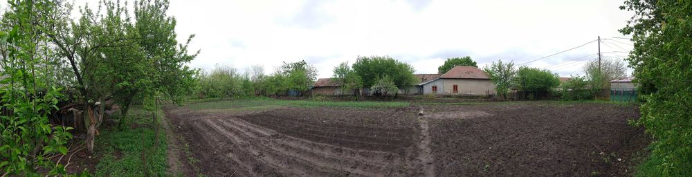 Vand casă bătrânească cu teren generos de ~2000 mp | Comuna Traian, Teleorman