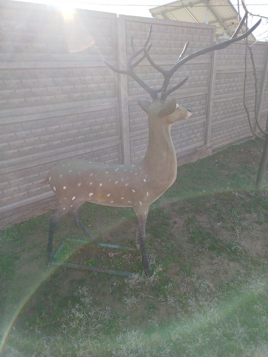 Кийк сотилади. Холати яхши