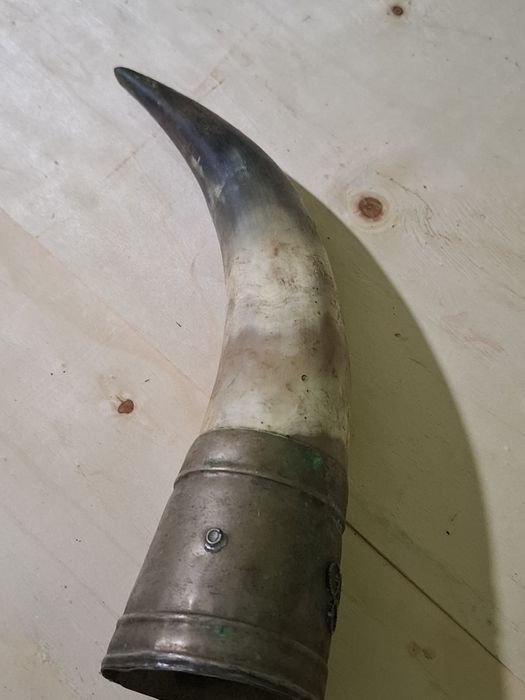 Продавам стар автентичен рог