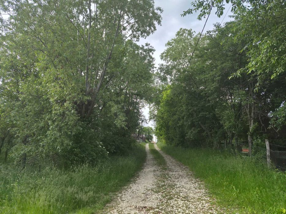 Teren Intravilan - Generos (2800 mp) - Zona superba foarte aproape de centru Campulung