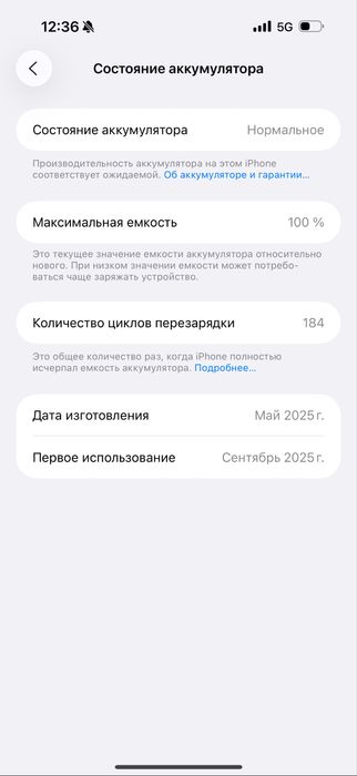 Iphone 16 Pro Max 256 гб 100 емкость