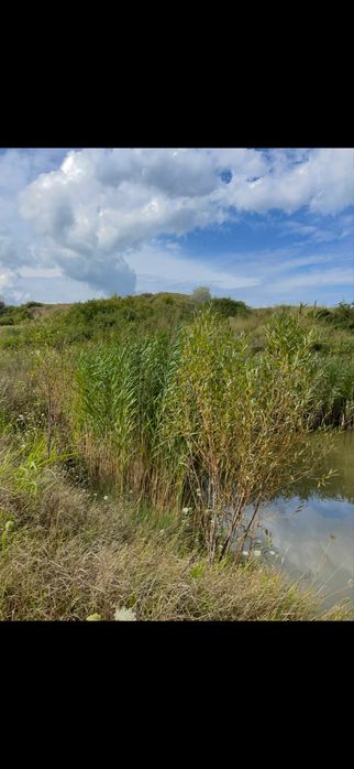 Vand teren in comuna schitu duca cu iaz de peste si salcami