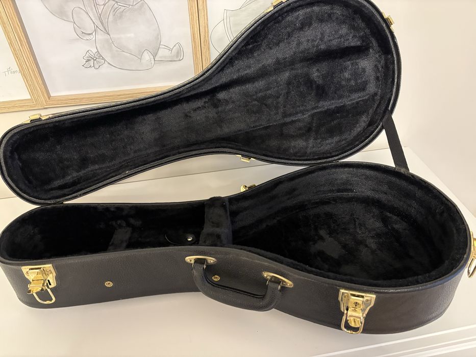 Cutie mandolina,husa ,mandolina