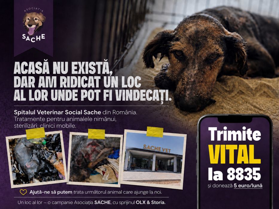 Loc călduros dar întunecat