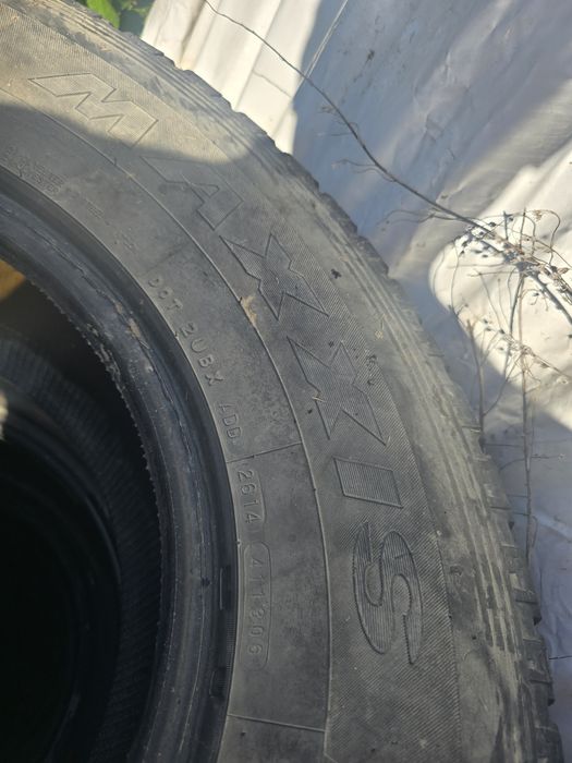 Шины зимние maxxis