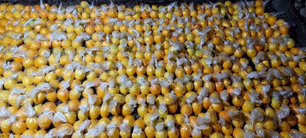 Adboʻrniy limonlar sotiladi