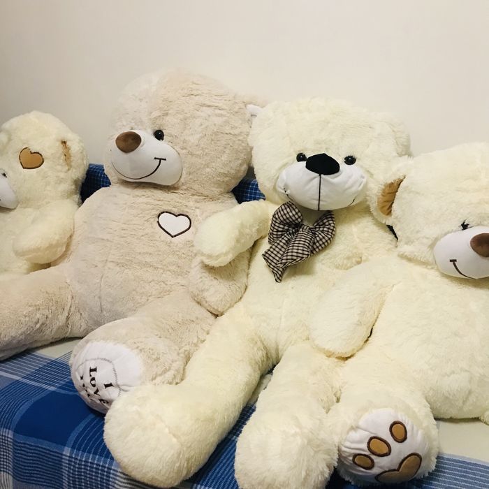 Плюшевые мишки