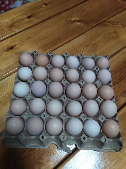 Домашние куриные яйца