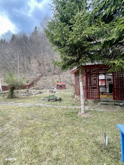 Oaza de liniste: casa + padure pana pe creasta muntelui