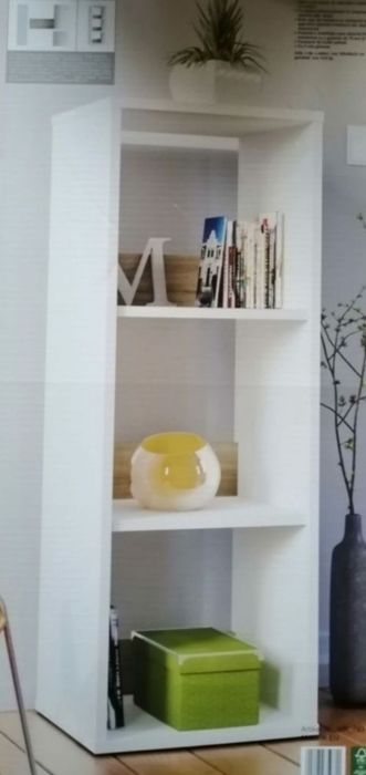 Регал с три рафта, Секция