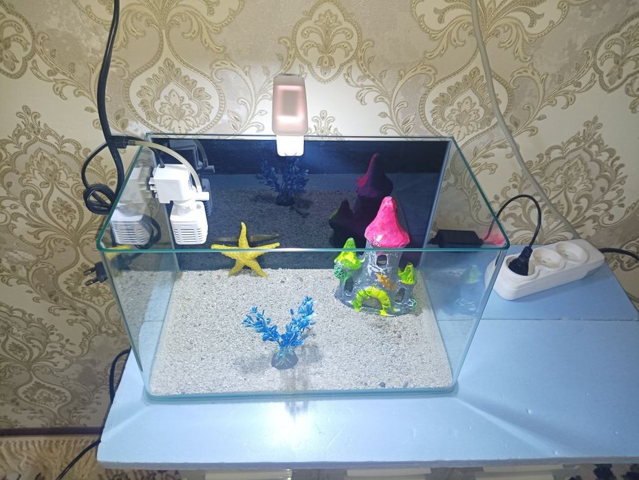 Xitoy quyma akvarium 15 litr komplekti