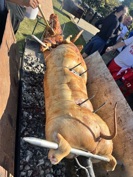 Inchiriez/pregatesc rotisor/protap