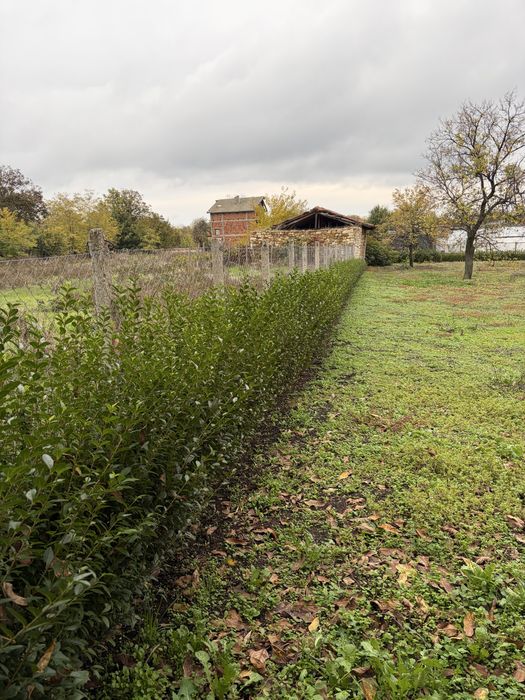 Продавам УПИ в село Ценово община Чирпан