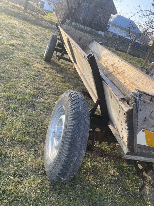 Faiton și ham de piele