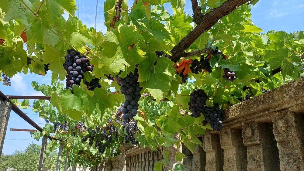 Продавам две къщи с парцел ,на две улици и площад
