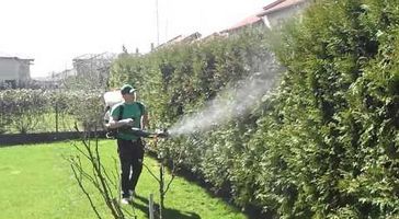 Amenajare si sisteme aspersie spatii verzi