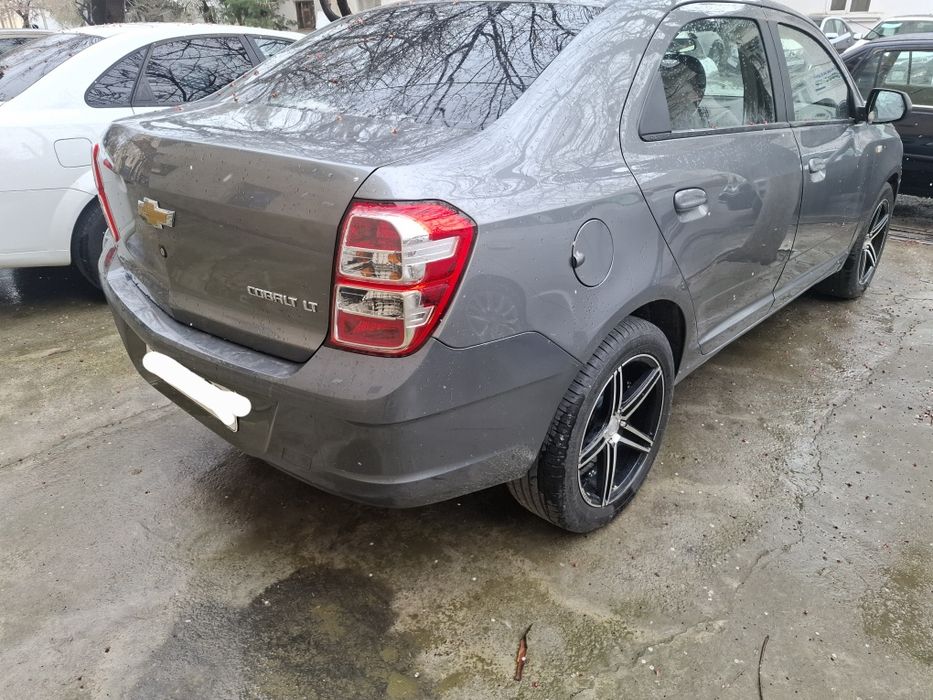 Продам кобелт 2016 викубга бераман